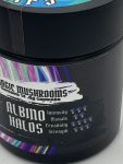 Cosmic-Caps-Albino-Golden-Halos-scaled-1.jpg