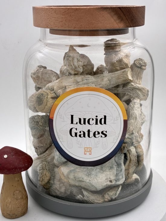 Lucid Gates Magic Mushrooms 🍄