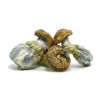buy-blue-meanies-online