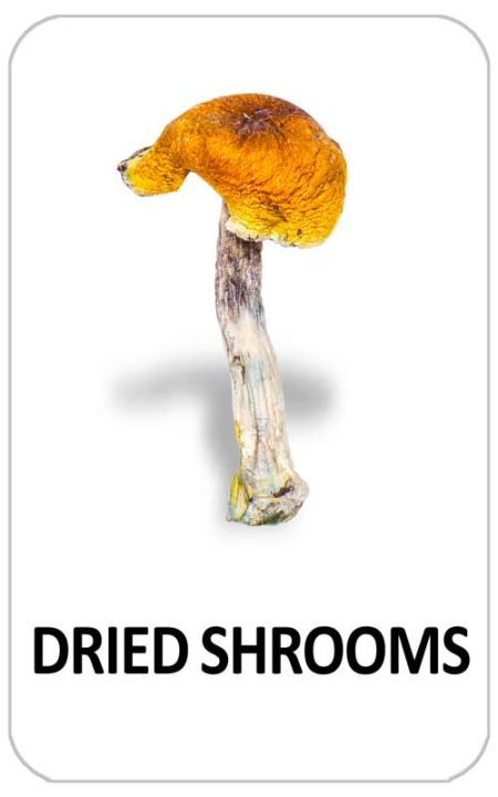 Magic Mushrooms