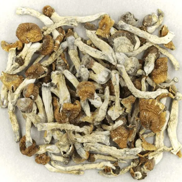 Mush-Florida-White Mush-Florida-White