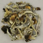 Blue Pulaski Magic Mushrooms