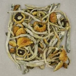 Costa Rican Psilocybe Cubensis