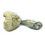 Great-White-Monster-Cubensis