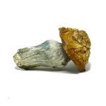 buy-penis-envy-cubensis-online